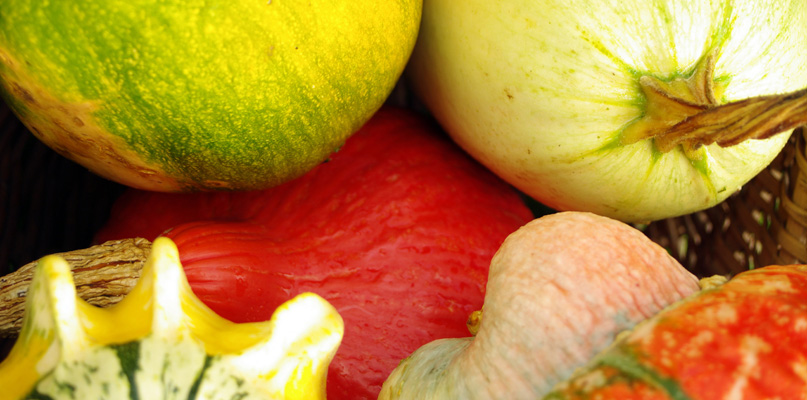 courges courges